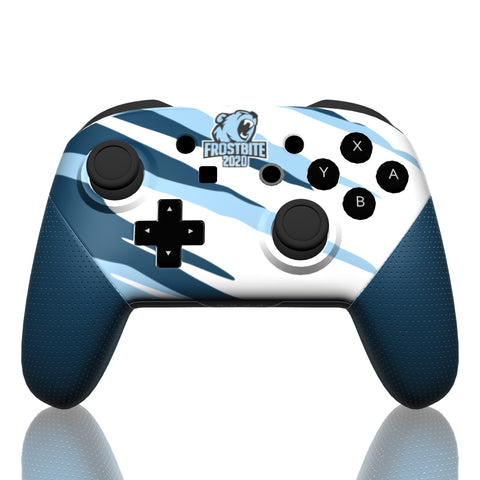 Custom Controller Nintendo Switch Pro - Frostbite 2020 Competitive Gaming Tournament