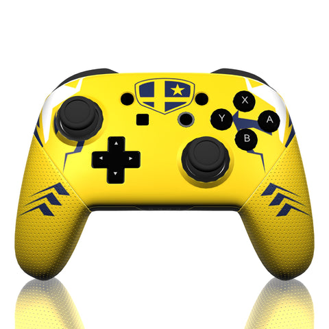 Custom Controller Nintendo Switch Pro - The Big House 2018 Competitive Gaming Tournament